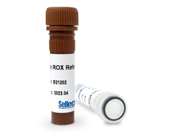 2x SYBR Green qPCR Master Mix